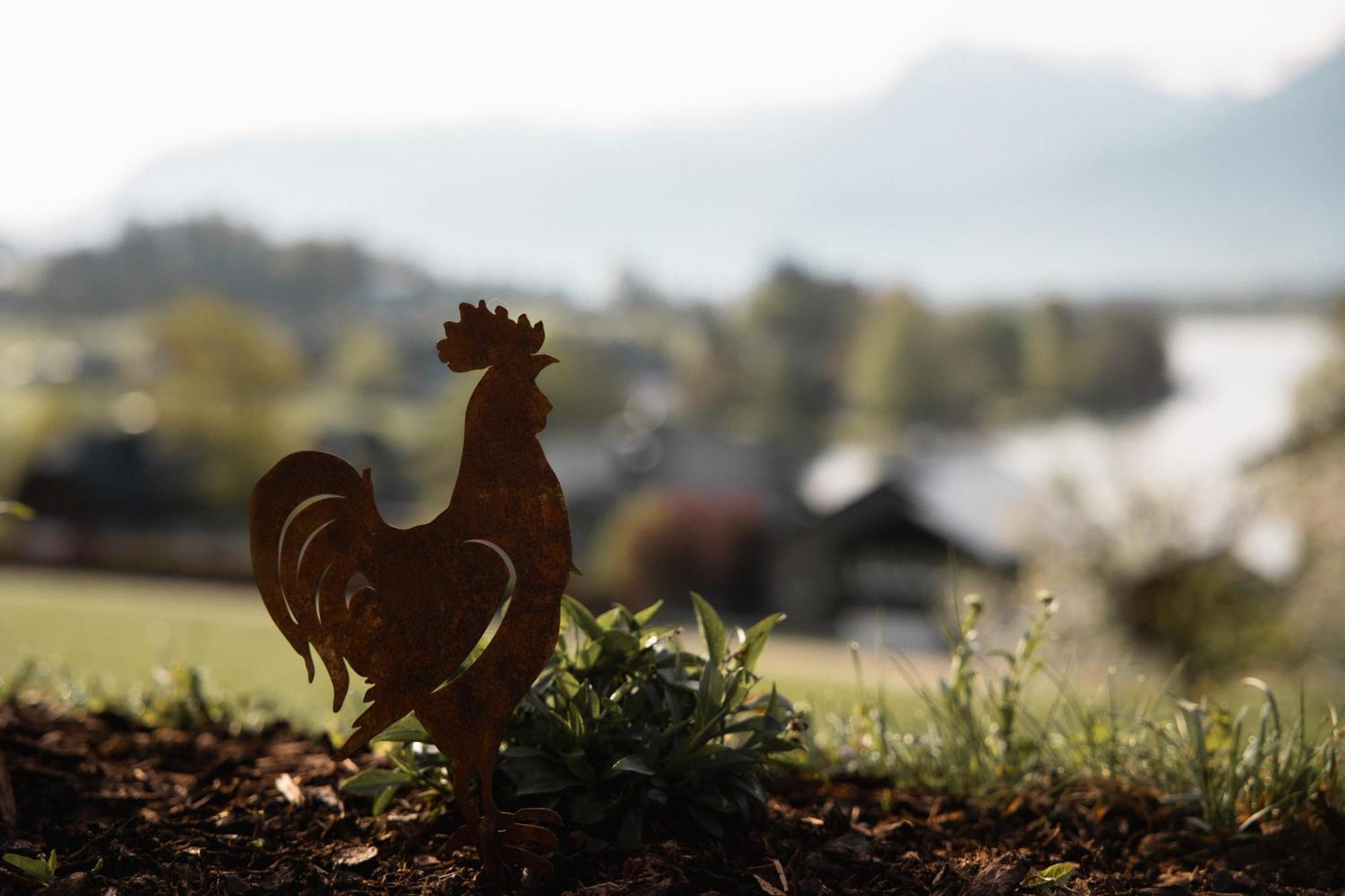 Apartmán Urlaub Am Dichtlhof Saint Wolfgang Exteriér fotografie